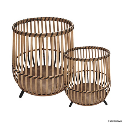Sundara Planters