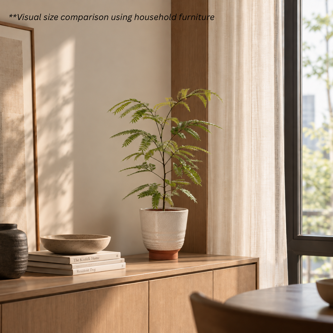 Japanese Everfresh Tree in CasaTerra Pot