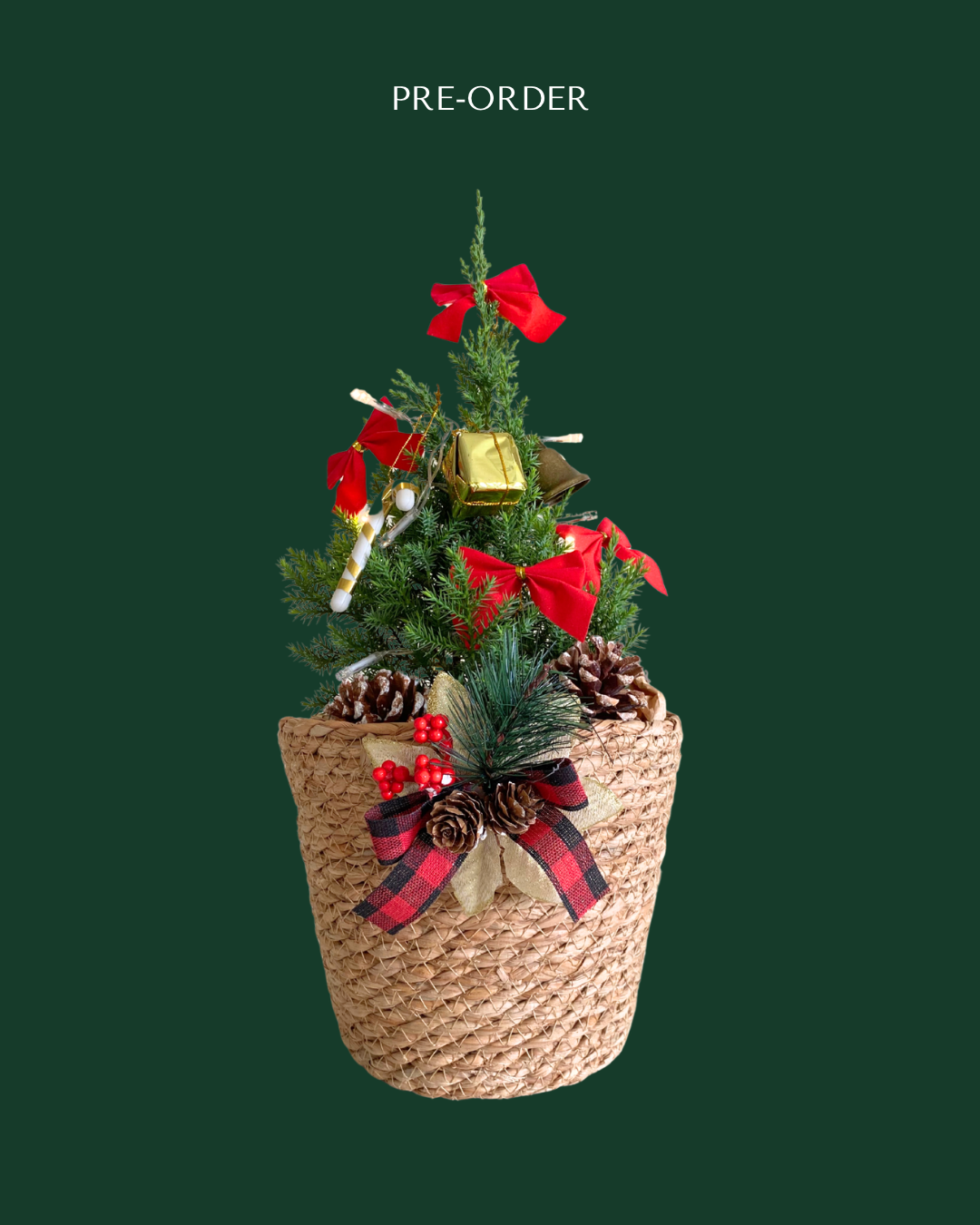 [Pre-Order] Christmas Special: Blue Pine Tree in Woven Basket