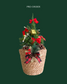 [Pre-Order] Christmas Special: Blue Pine Tree in Woven Basket