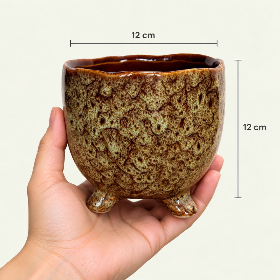 Meranti Pot