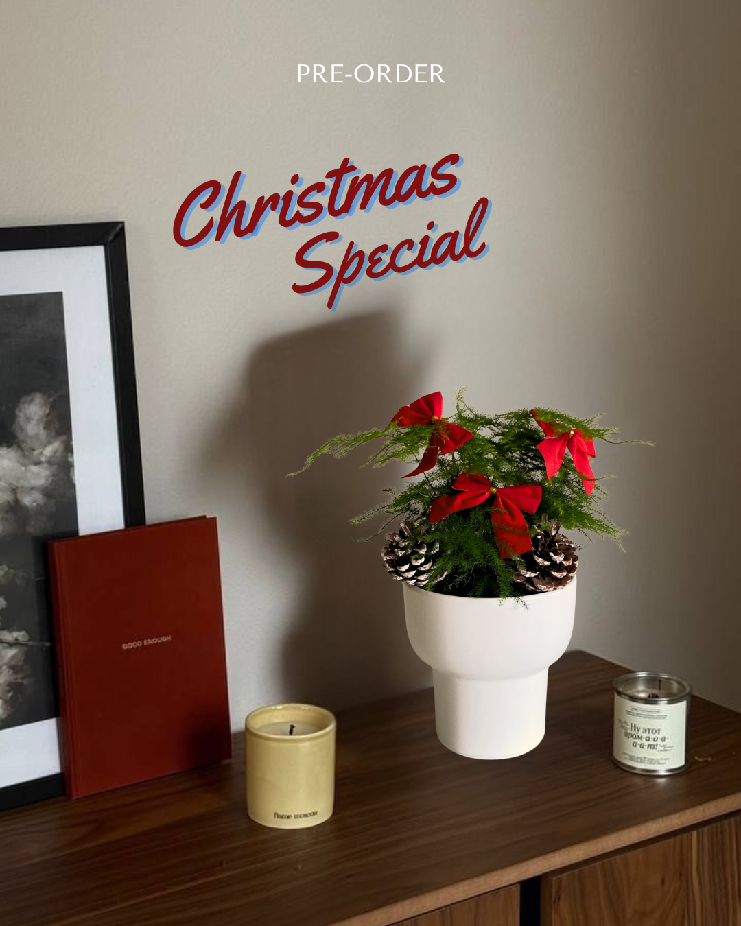 [Pre-Order] Christmas Special: Asparagus Fern in Dodo Pot