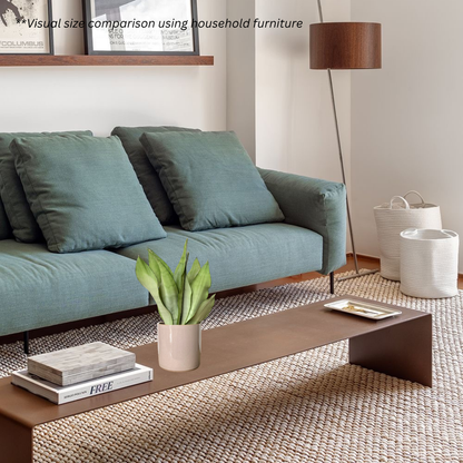 Sansevieria Trifasciata Moonshine in Rosewood Pot