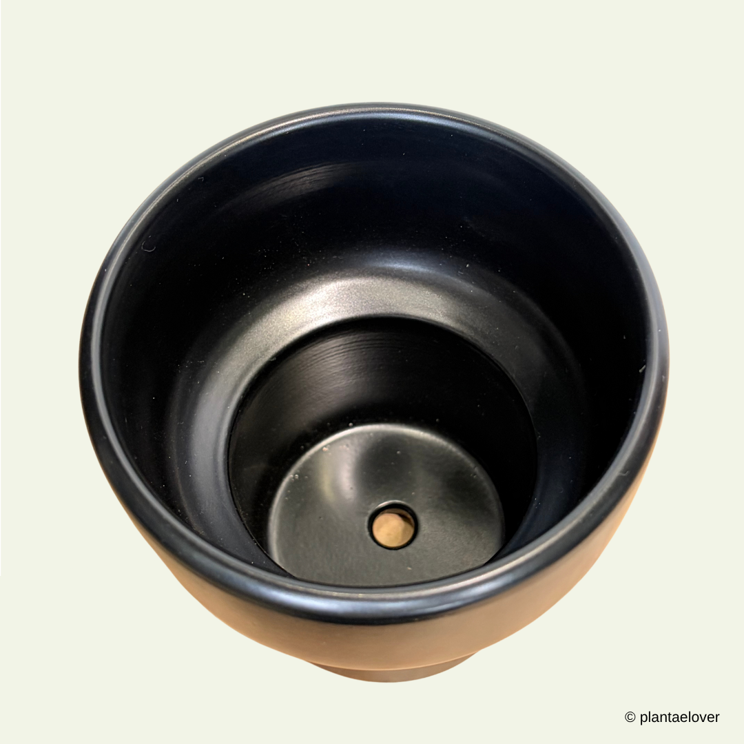 Dodo Pot