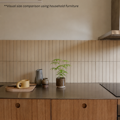 Japanese Everfresh Tree in Rust Pot