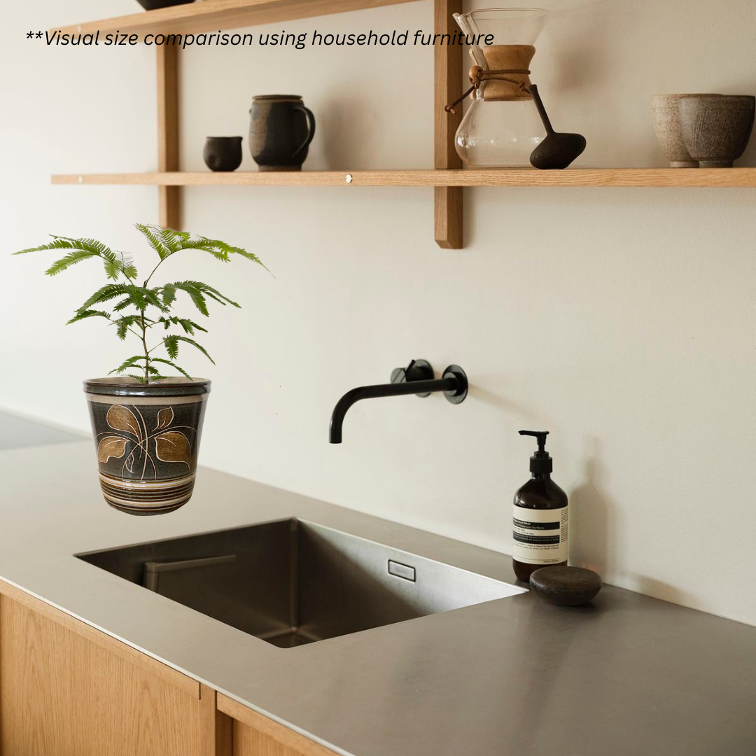 Japanese Everfresh Tree in Batik Pot