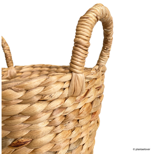 Woven Basket