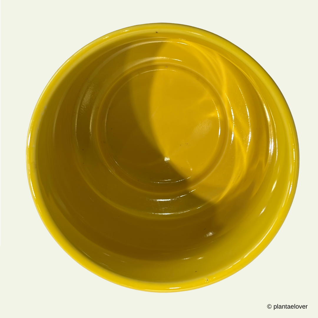 Limoni Pot