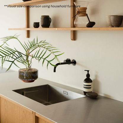Philodendron Tortum in Rust Pot