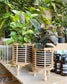 Spiral Bamboo Planters