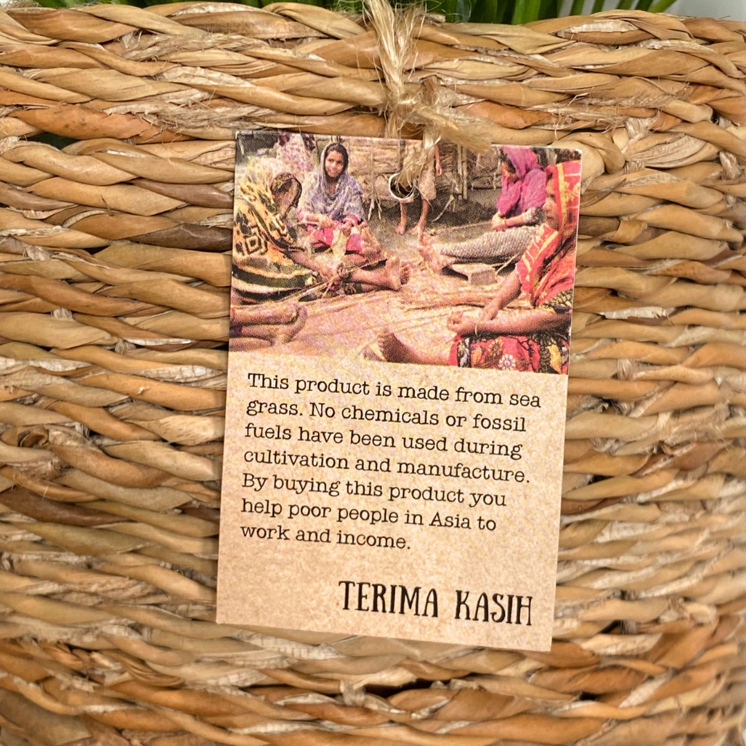 Peace Lily in Terima Kasih Basket