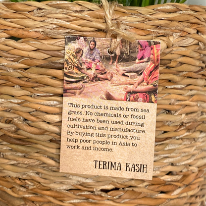 Peace Lily in Terima Kasih Basket