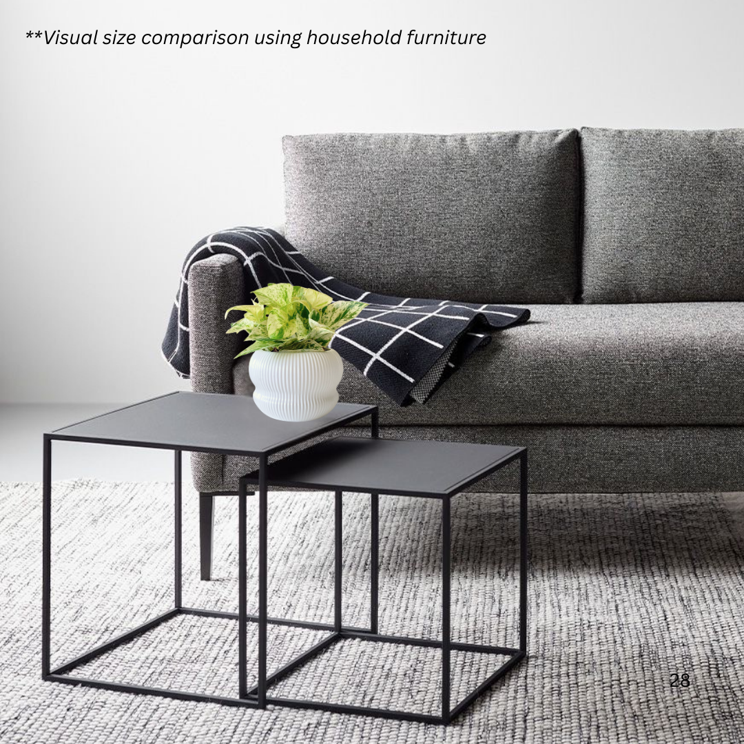 Marble Queen Pothos in Laguna Pot