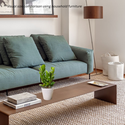 Zamioculcas Zamiifolia in Celine Pot