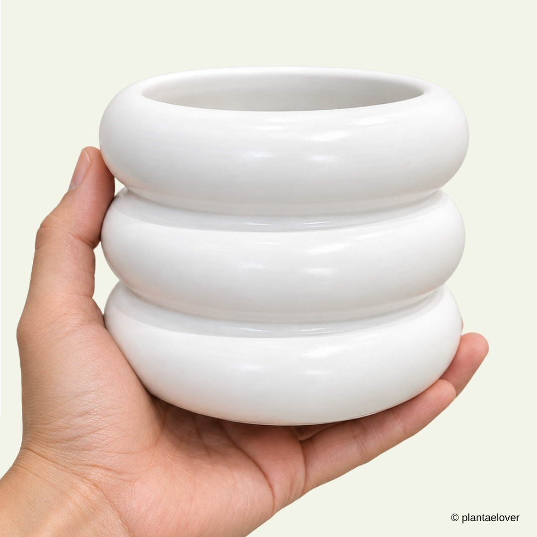 Bagel Pot