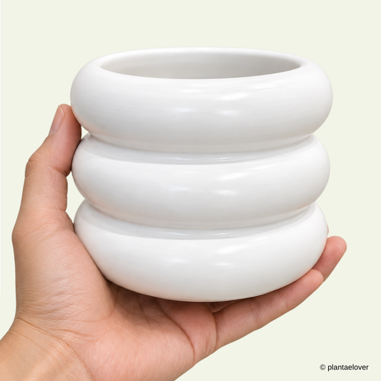 Bagel Pot