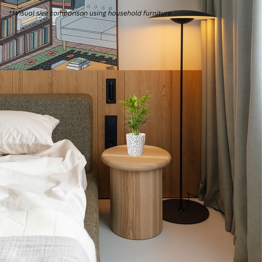 Bamboo Palm in Polka Pot