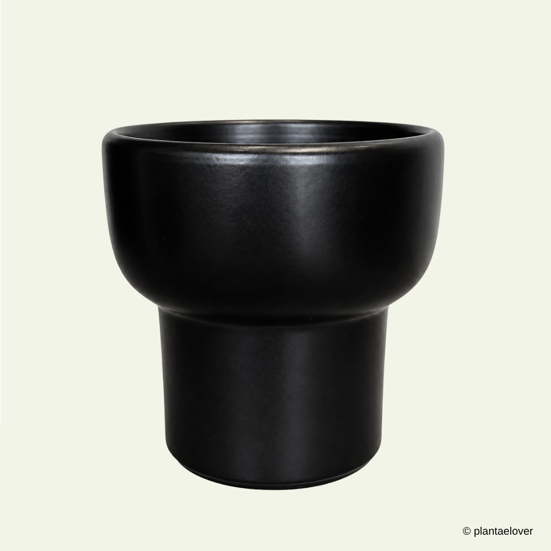 Dodo Pot