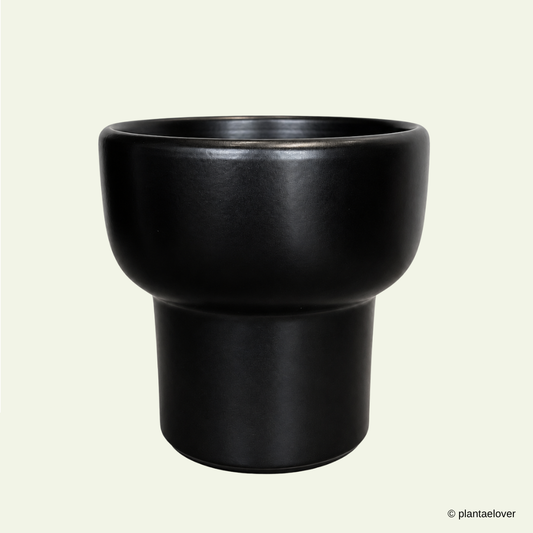 Dodo Pot