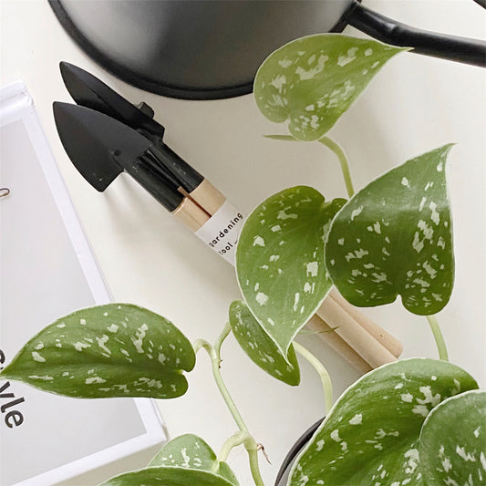 Mini Gardening Tools
