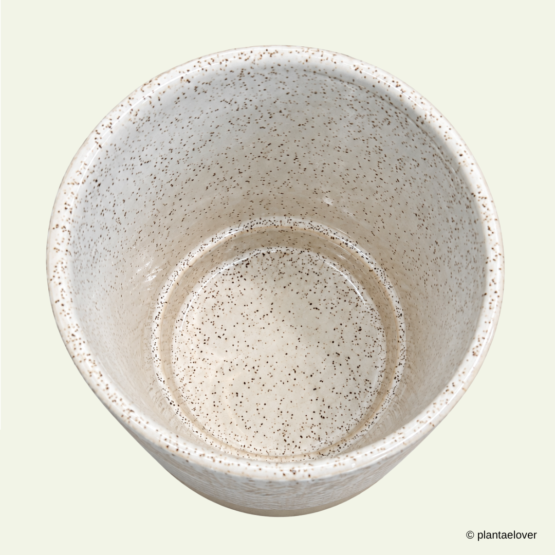 Colony Pot