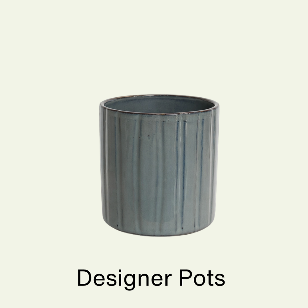Pots & Planters