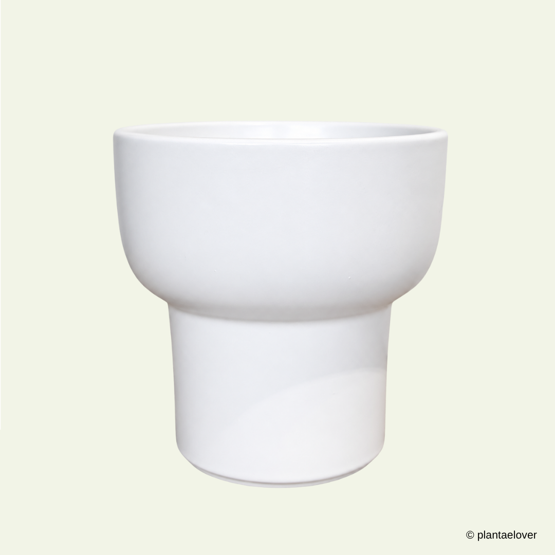Dodo Pot