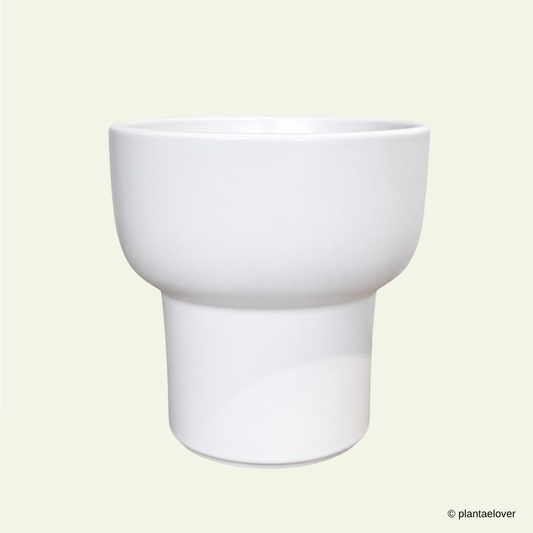 Dodo Pot