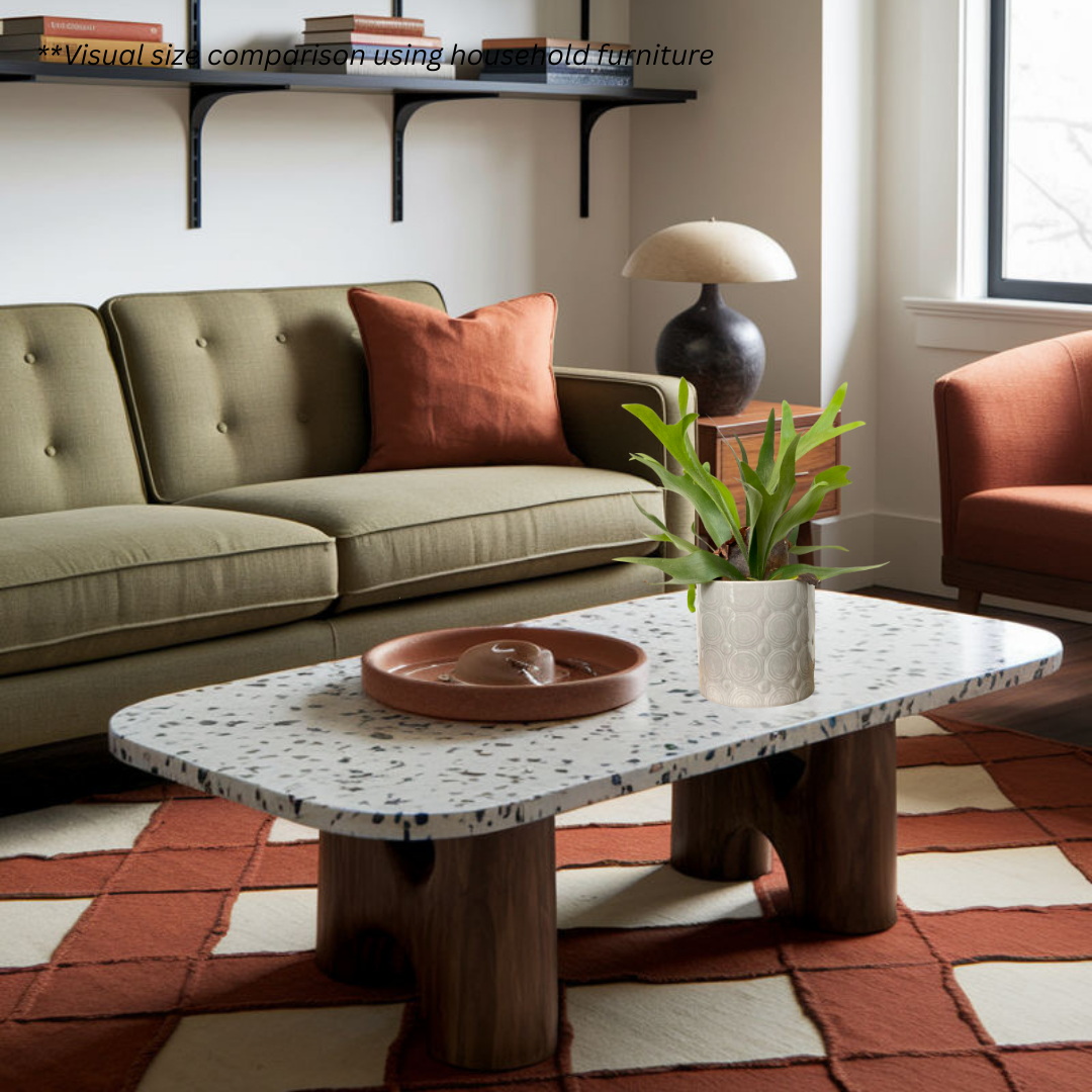 Staghorn Fern in Foam Pot