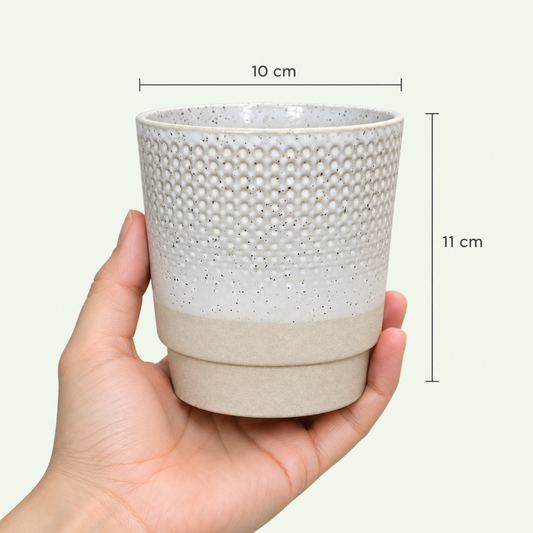 Colony Pot