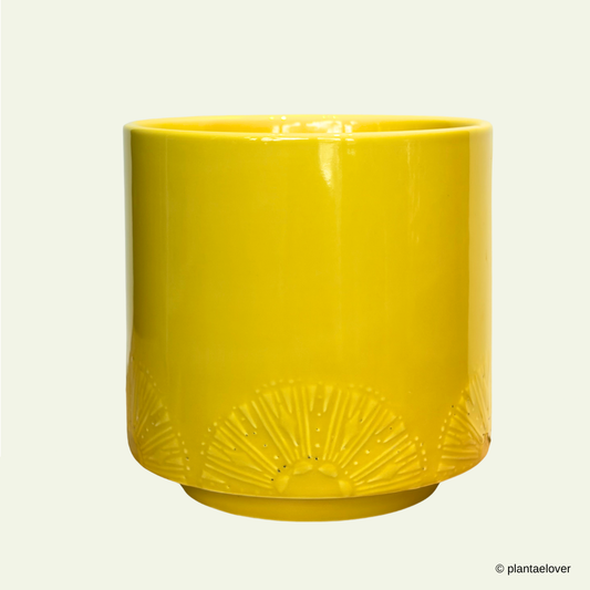 Limoni Pot