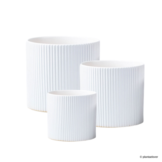 Ribbed Planter