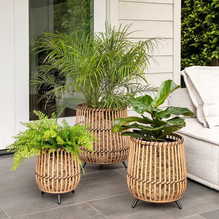 Bamboo Planters