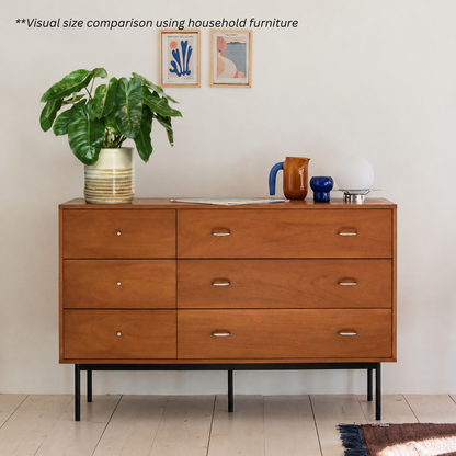 Philodendron Burle Marx in Retro Pot