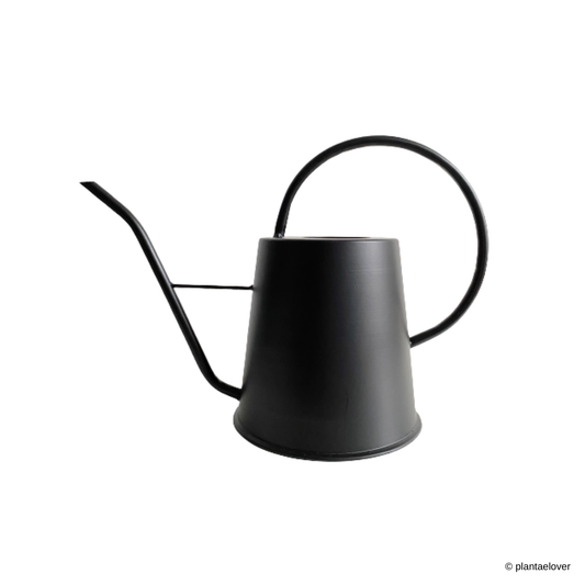 Modern Indoor Watering Can 1.7L