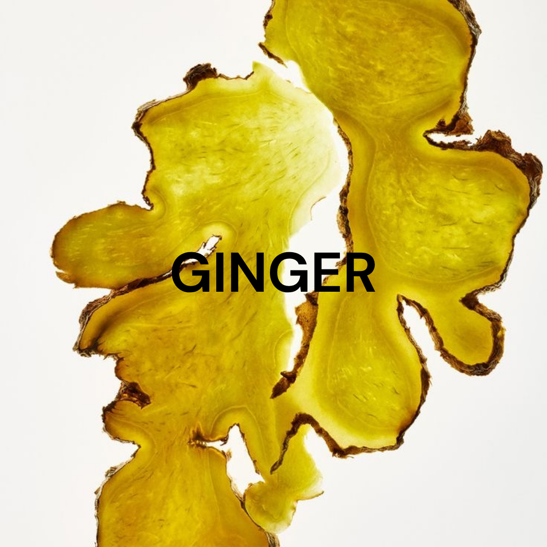 Root–To–Leaf
