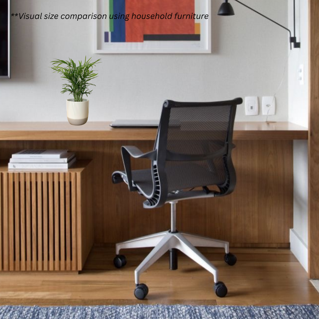 Bamboo Palm in Glacier Pot