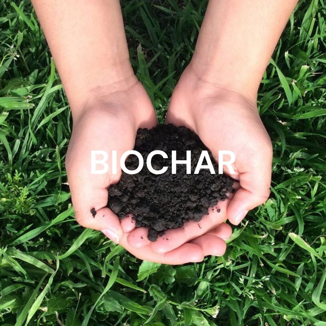 Humus Fertilizer