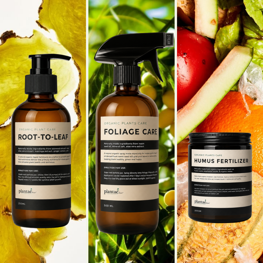 Plant Care Bundle