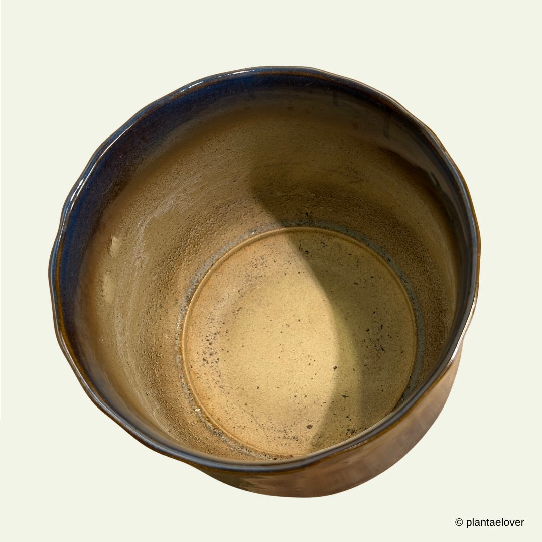 Royal Pot