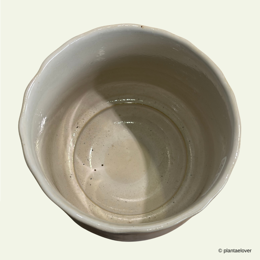Royal Pot