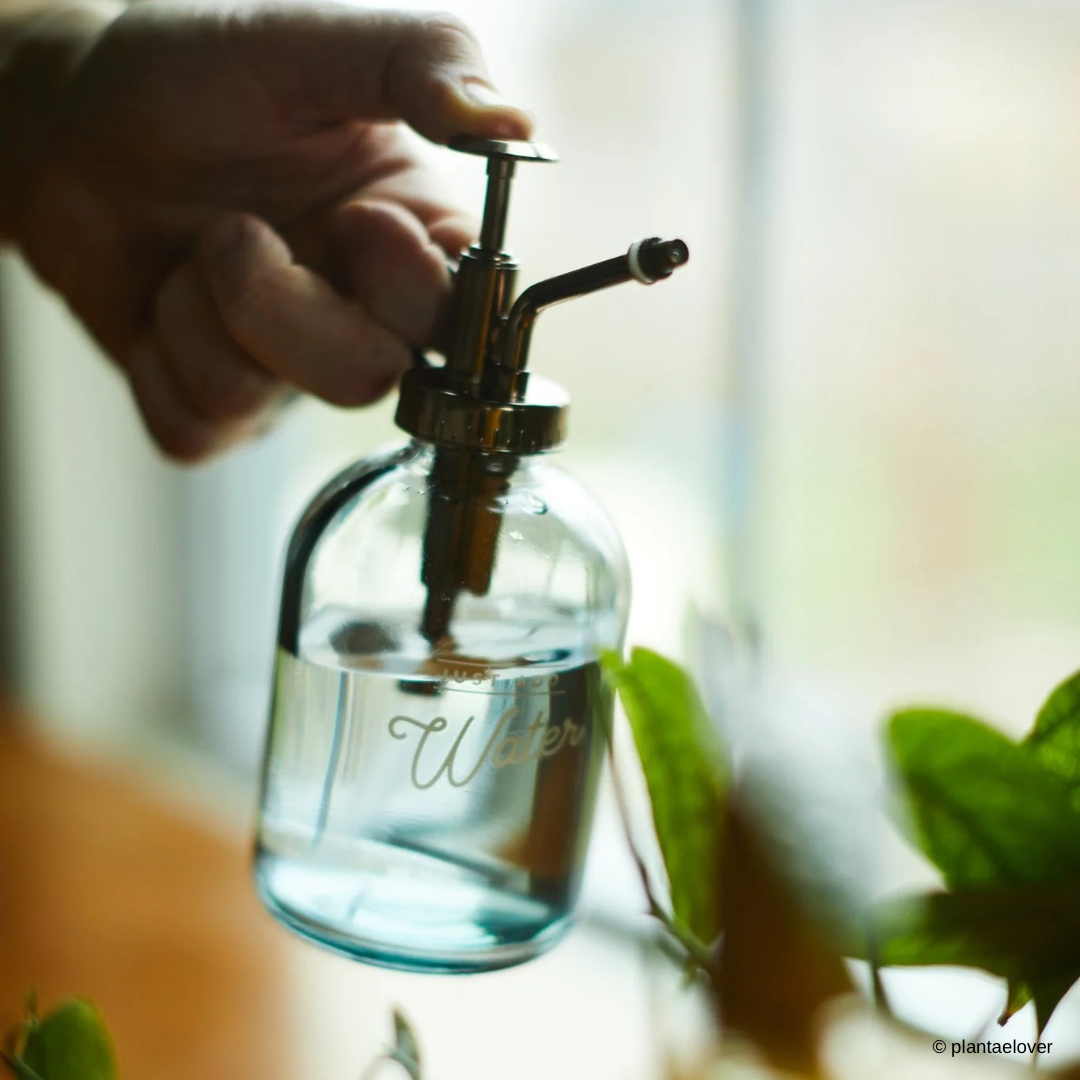 Gentlemen’s Hardware: Glass Plant Mister