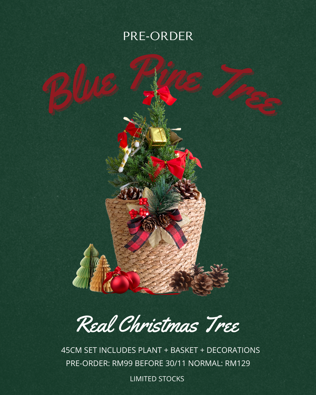 [Pre-Order] Christmas Special: Blue Pine Tree in Woven Basket