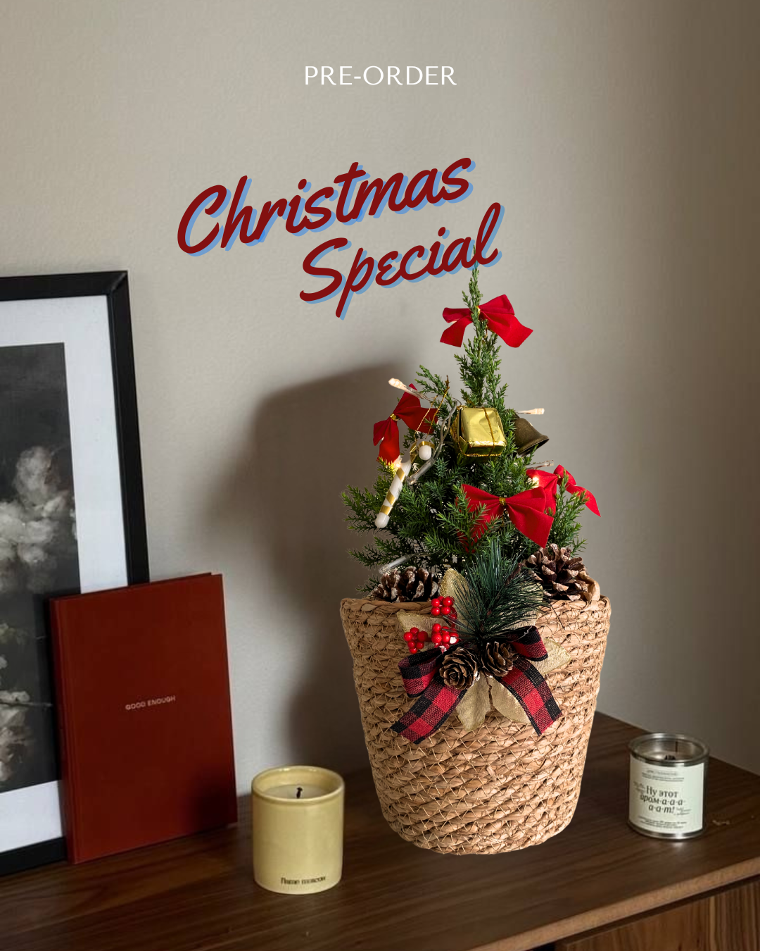 [Pre-Order] Christmas Special: Blue Pine Tree in Woven Basket