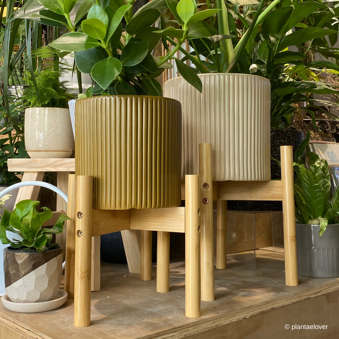 Sturdy Bamboo Plant Stand