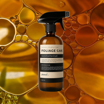Foliage Care