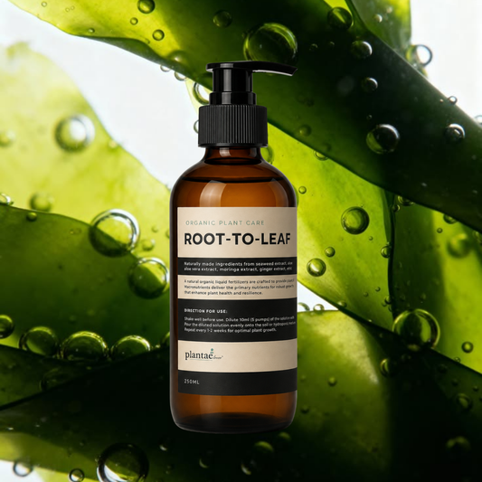 Root–To–Leaf
