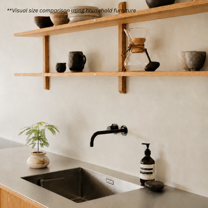 Japanese Everfresh Tree in Nomad Pot
