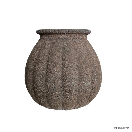 Tuscan Pot