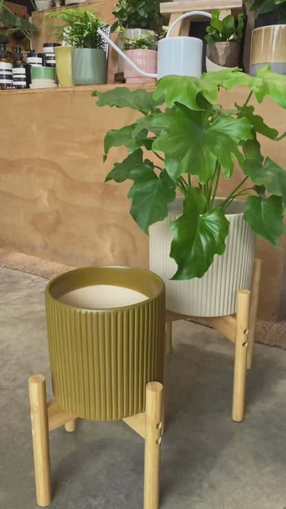 Sturdy Bamboo Plant Stand